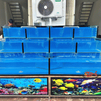 hồ hải sản 2m4 không bảng tên