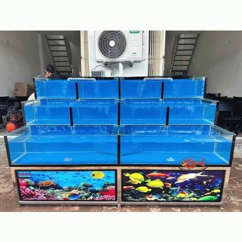 hồ hải sản 2m4 không bảng tên