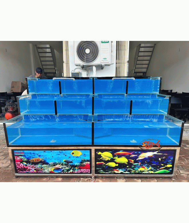 hồ hải sản 2m4 không bảng tên