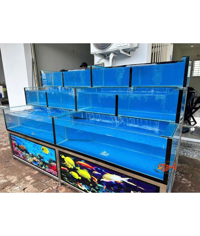 hồ hải sản 2m4 không bảng tên