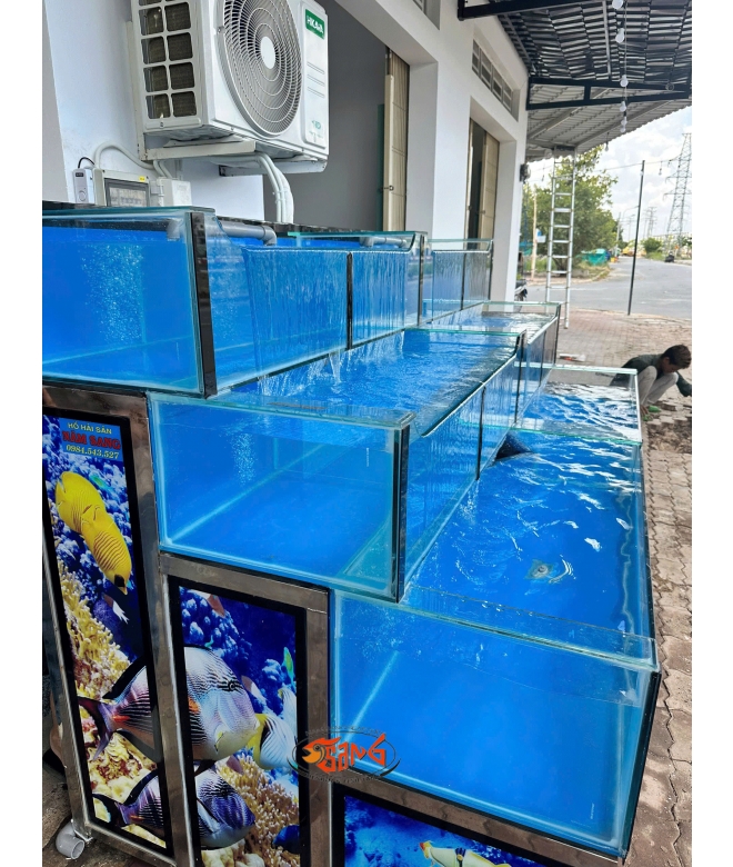 hồ hải sản 2m4 không bảng tên