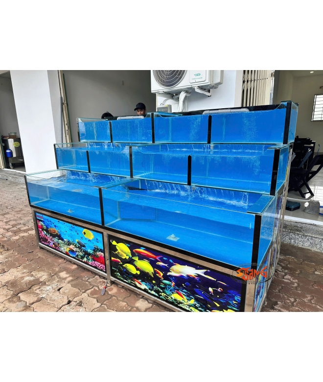 hồ hải sản 2m4 không bảng tên